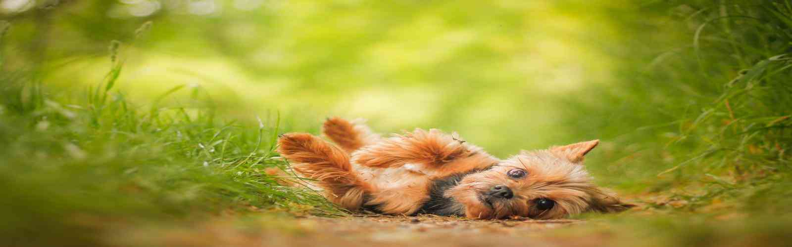 8455线路检测中心